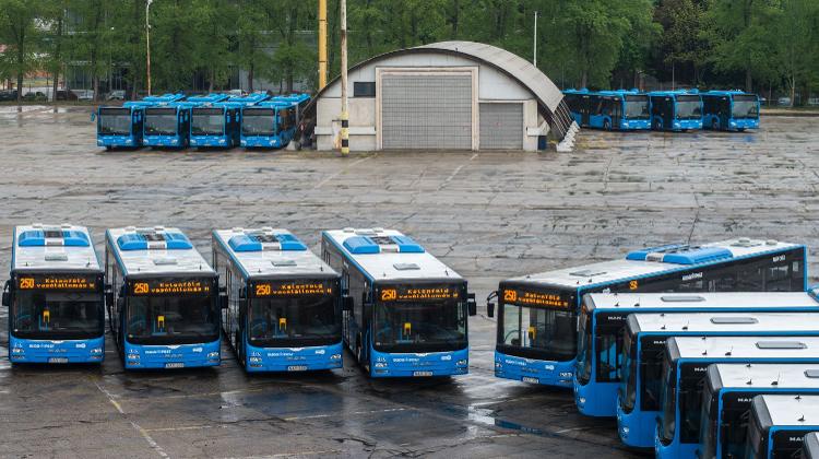 Budapest Bus Drivers Begin Protest