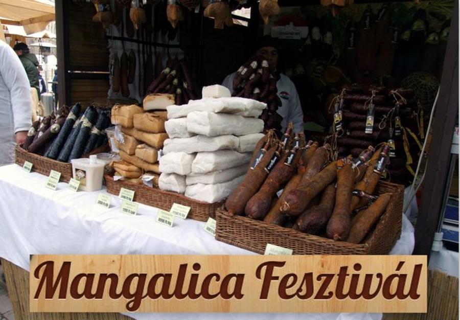 Video: Mangalica Festival In Budapest, 10 - 12 February