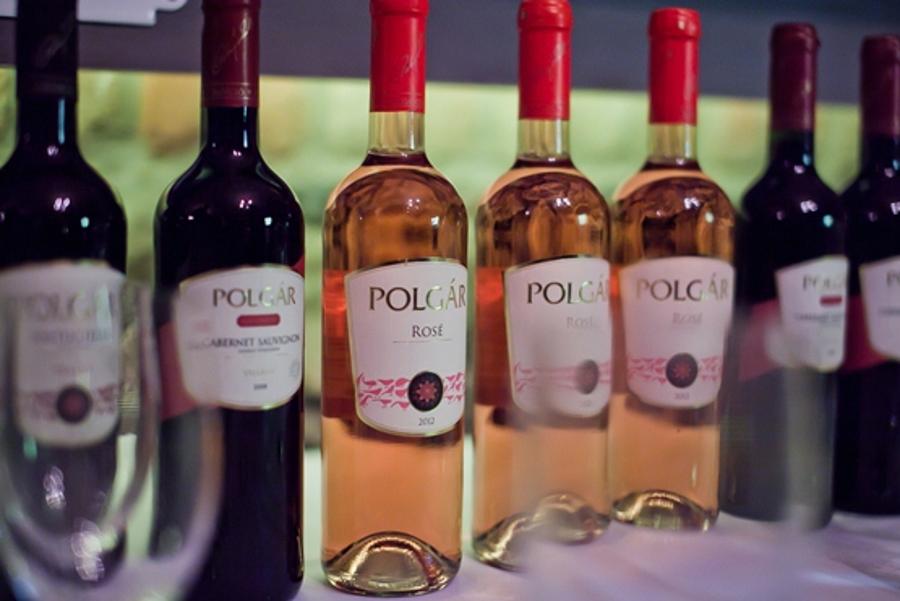 Introducing Polgar Winery From Villány