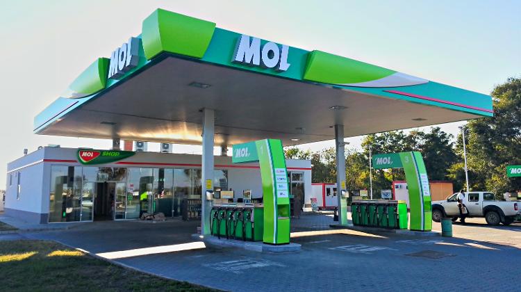MOL Stations Allow Dogs To Enter Shop