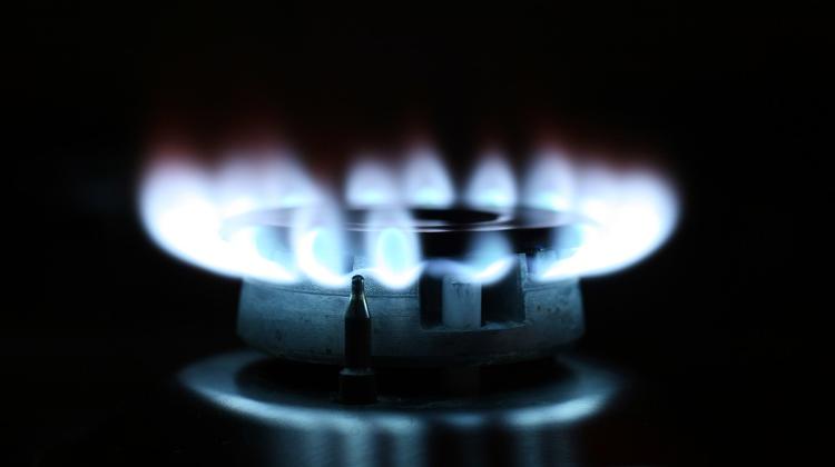 Hungarian Deputy House Speaker Calls For Diversification Of Gas Imports